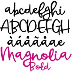 pn magnolia bold