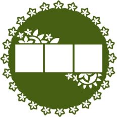 doily frame with 3 square photos