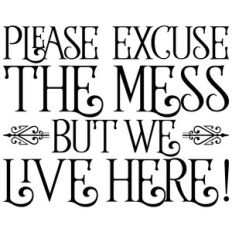 please excuse the mess we live here