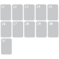 21-31 tag