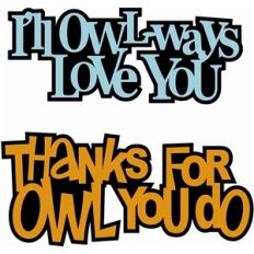 owl sentiments
