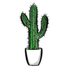 cactus