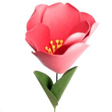 tulip stemmed