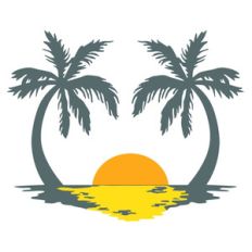palm trees and sunset