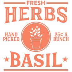 fresh herbs basil