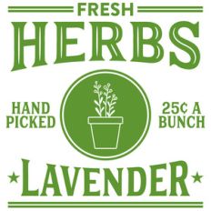 fresh herbs lavender
