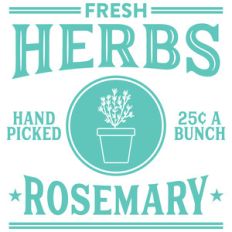 fresh herbs rosemary