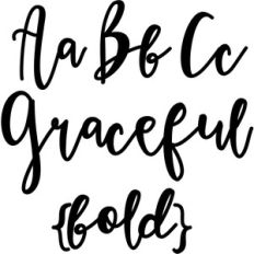 graceful bold script font