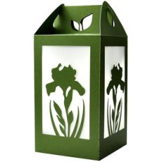 iris spring flower lantern