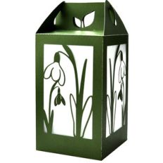 snowdrop spring flower lantern