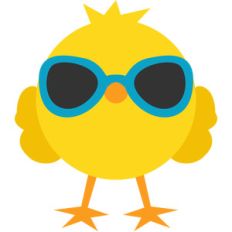 chick and sunglasses