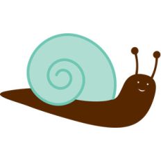 snail