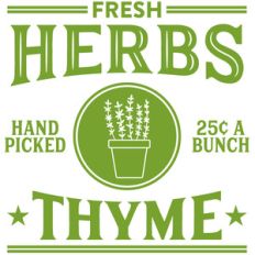 fresh herbs thyme