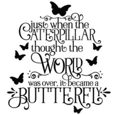 caterpillar into a butterfly inspirational quote