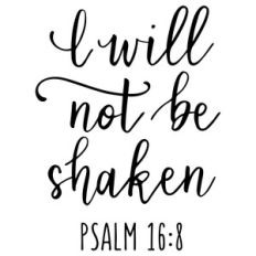 i will not be shaken phrase