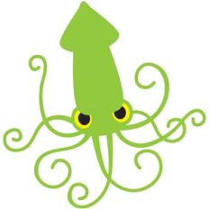 grumpy squid