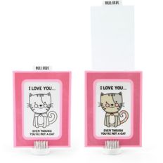 magic slider card cat