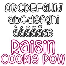 zp raisin cookie pow