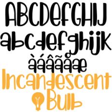 zp incandescent bulb
