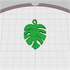 cheeseplant leaf embellishment
