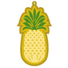 pineapple tag