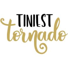 baby t-shirt tiniest tornado