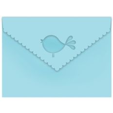 chirp envelope