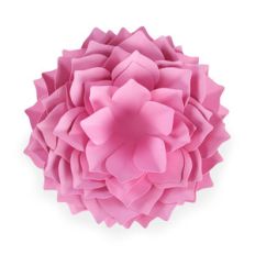 full bloom dahlia
