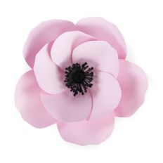 poppy
