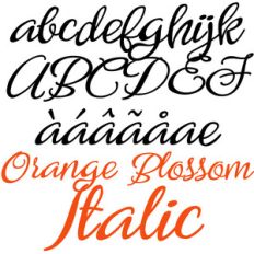 zp orange blossom italic