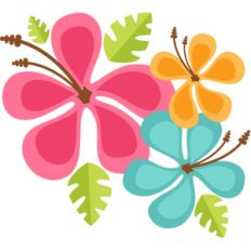 hawaiian flowers