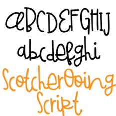 pn scotcherooing script