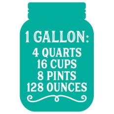 measurement conversion 1 gallon