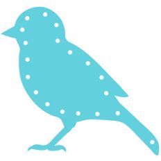 lace up - bird