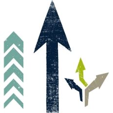 echo park arrows
