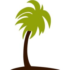 echo park palm tree