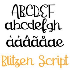 zp blitzen script