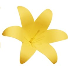 3d lily