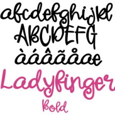 pn ladyfinger bold
