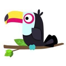 toucan tropical bird
