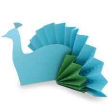 peacock accordion tail