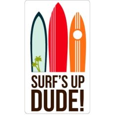 echo park surfs up dude