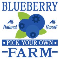 blueberry farm sign
