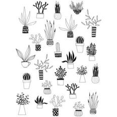 cactus and succulents stickers