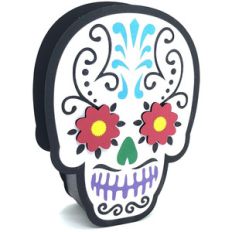 mexican skull box