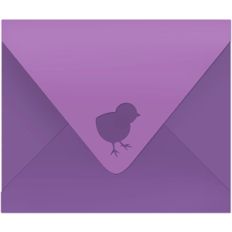 cute chick envelope