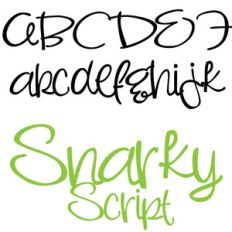 pn snarky script