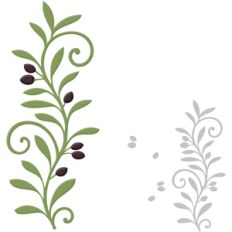 border olive branch