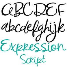 pn expression script