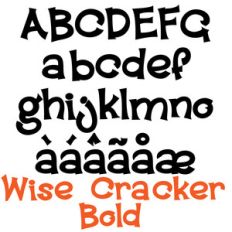 pn wise cracker bold